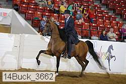 14buck_3662 proof