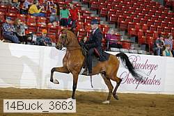 14buck_3663 proof