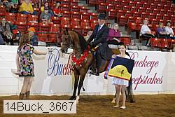 14buck_3667 proof