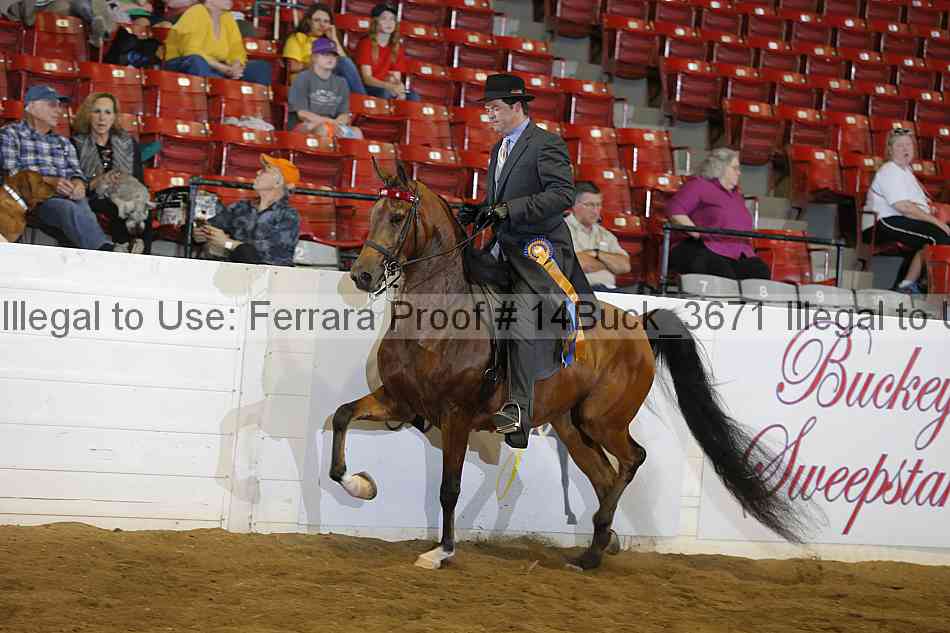 Proof 14buck_3671