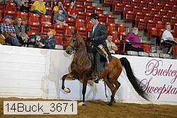 14buck_3671 proof