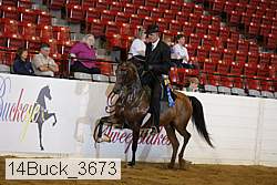 14buck_3673 proof