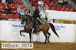 14buck_3674 proof