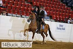 14buck_3679 proof