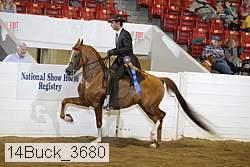 14buck_3680 proof