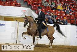 14buck_3683 proof