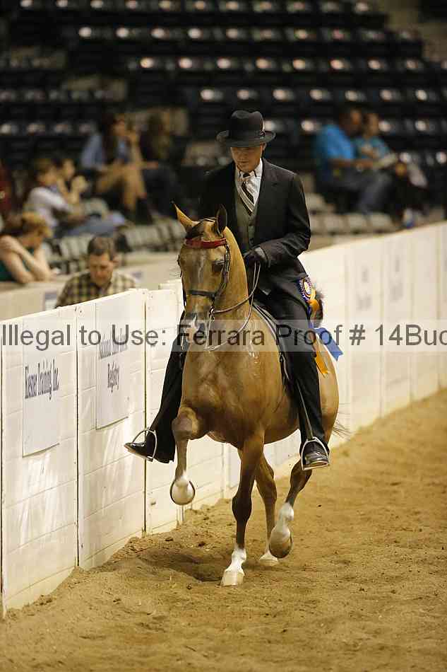 Proof 14buck_3684