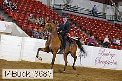 14buck_3685 proof