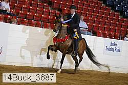 14buck_3687 proof