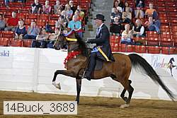 14buck_3689 proof