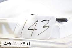 14buck_3691 proof