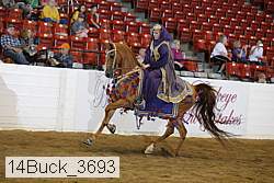 14buck_3693 proof