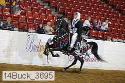 14buck_3695 proof