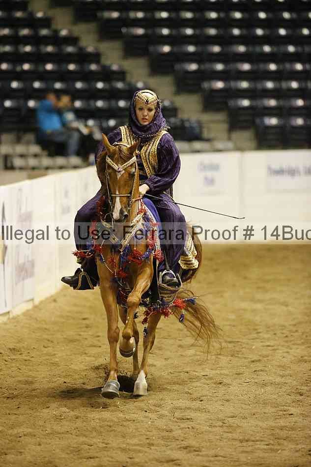 Proof 14buck_3696