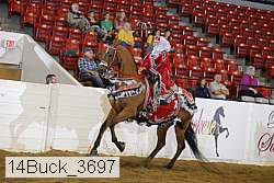 14buck_3697 proof