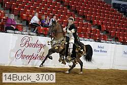 14buck_3700 proof