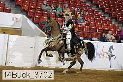 14buck_3702 proof