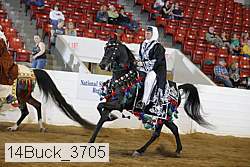 14buck_3705 proof