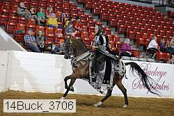 14buck_3706 proof