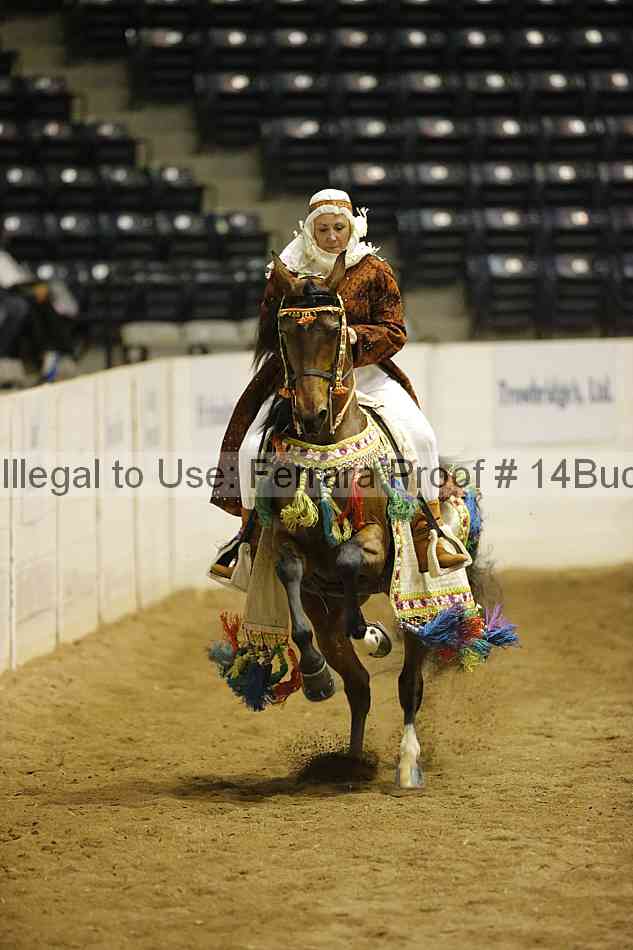 Proof 14buck_3709