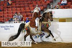 14buck_3711 proof