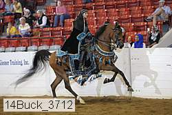 14buck_3712 proof