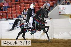 14buck_3713 proof