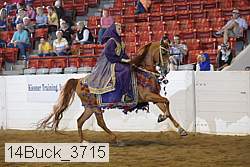 14buck_3715 proof