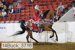 14buck_3716 proof
