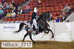 14buck_3717 proof