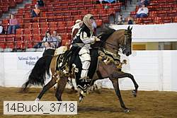 14buck_3718 proof