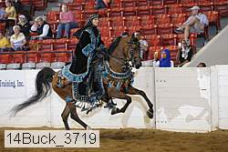 14buck_3719 proof
