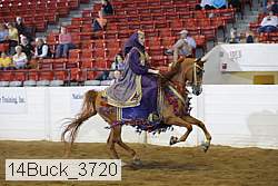 14buck_3720 proof