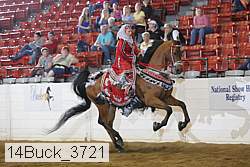 14buck_3721 proof