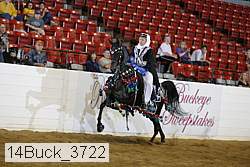 14buck_3722 proof