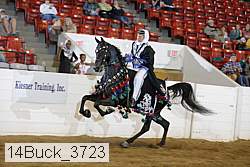 14buck_3723 proof