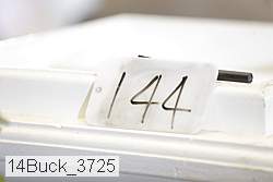 14buck_3725 proof