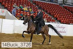 14buck_3726 proof