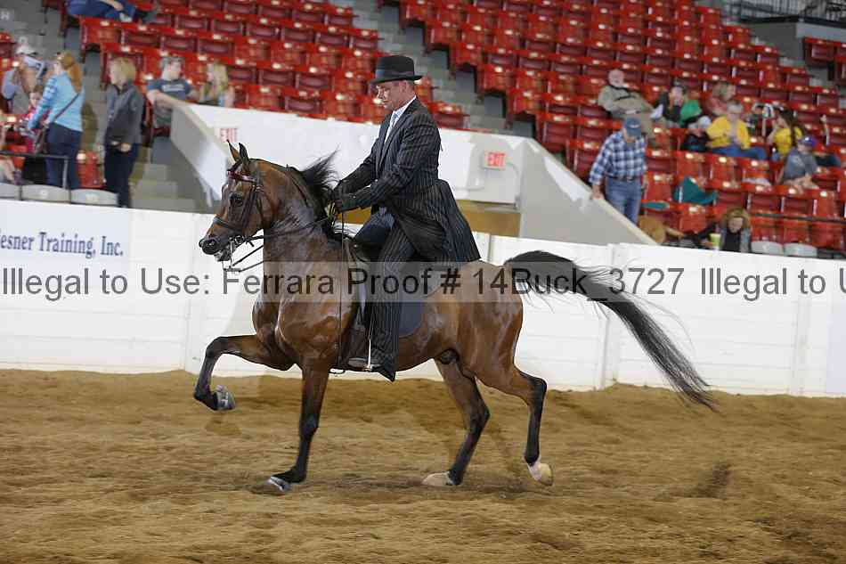 Proof 14buck_3727