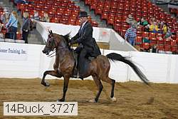 14buck_3727 proof