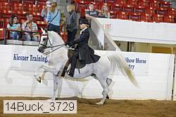 14buck_3729 proof
