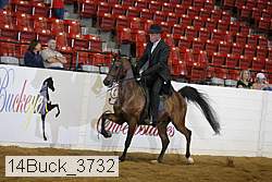 14buck_3732 proof