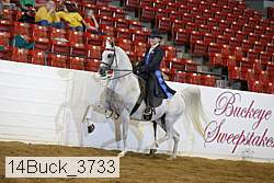 14buck_3733 proof