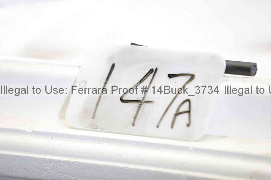 Proof 14buck_3734