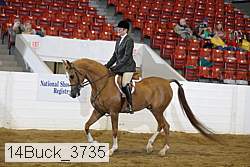 14buck_3735 proof