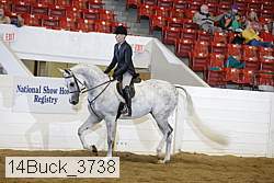 14buck_3738 proof
