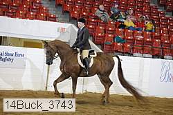 14buck_3743 proof