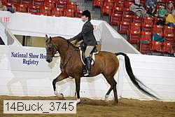 14buck_3745 proof