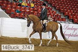 14buck_3747 proof