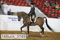 14buck_3749 proof